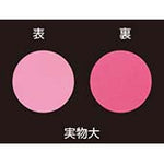 Taisho Quick Care Mouth Ulcer Patch 10Sheets