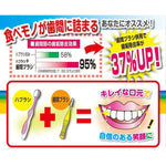 Dental pro Interdental Brush Various