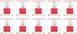 Santen SANTE Beautéye 12ml 10Boxes