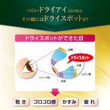 V Rohto Dry Eye Premium 15mL