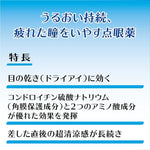 LION Smile Pit Dry Eye 13mL