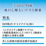 LION Smile Pit Dry Eye 13mL