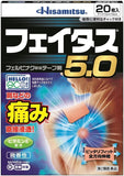 Feitas shoulder, back, joint, and muscle pain relief Various